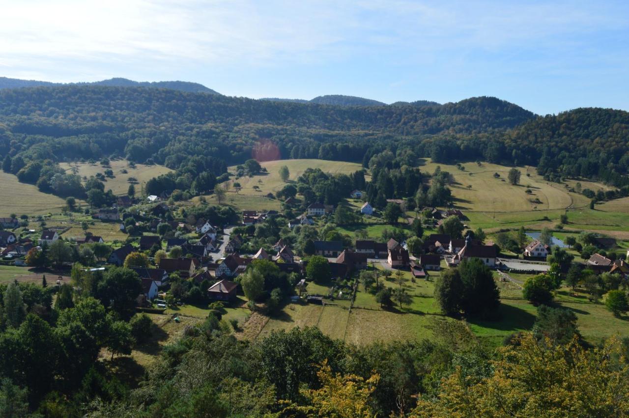 Chambre D'Hotes Petit Arnsbourg Obersteinbach Buitenkant foto